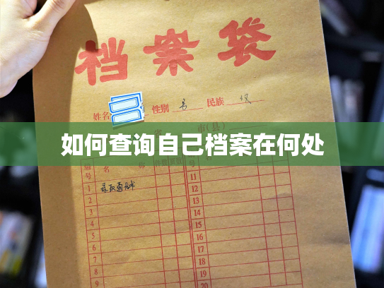 如何查询自己档案在何处