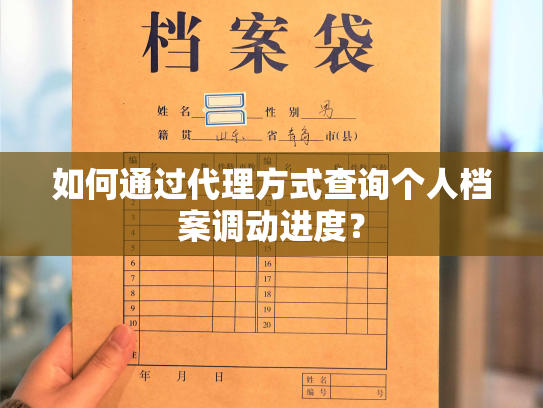 如何通过代理方式查询个人档案调动进度？