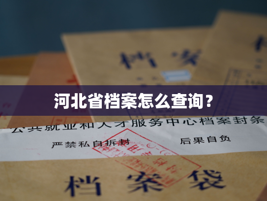 河北省档案怎么查询？