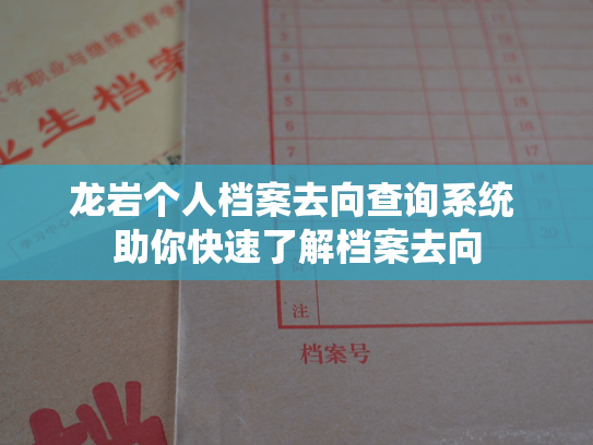 龙岩个人档案去向查询系统 助你快速了解档案去向