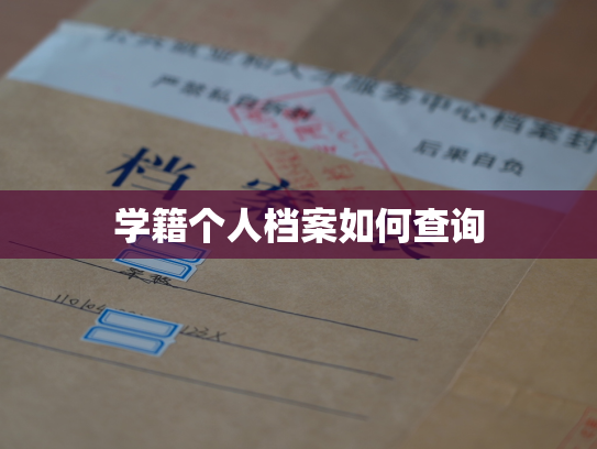 学籍个人档案如何查询