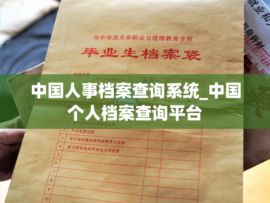 中国人事档案查询系统_中国个人档案查询平台