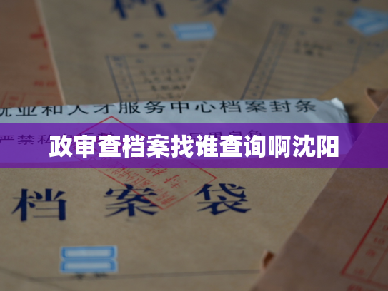 政审查档案找谁查询啊沈阳