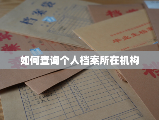 如何查询个人档案所在机构