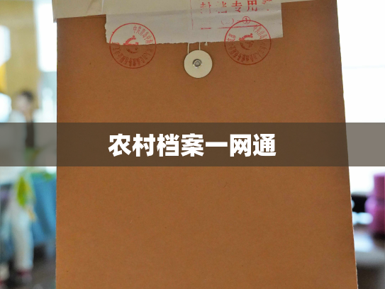 农村档案一网通