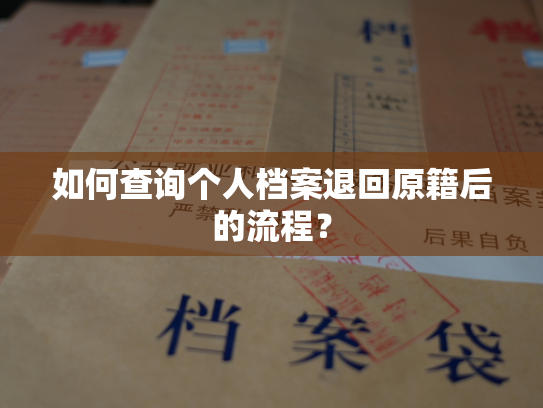 如何查询个人档案退回原籍后的流程？
