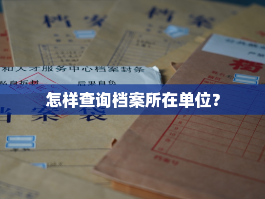 怎样查询档案所在单位？