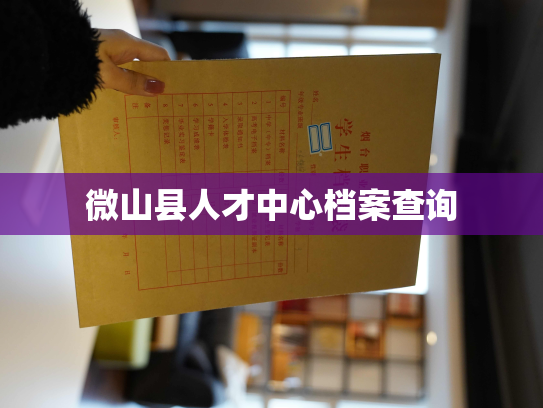 微山县人才中心档案查询