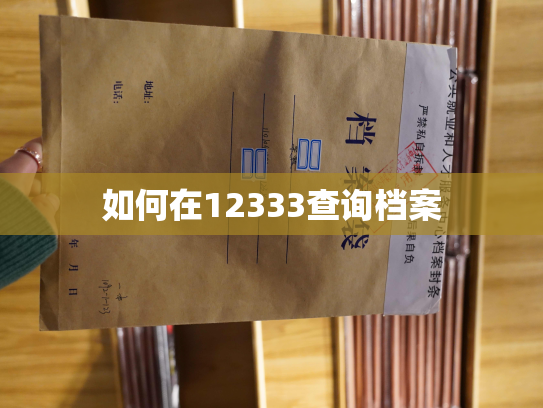 如何在12333查询档案