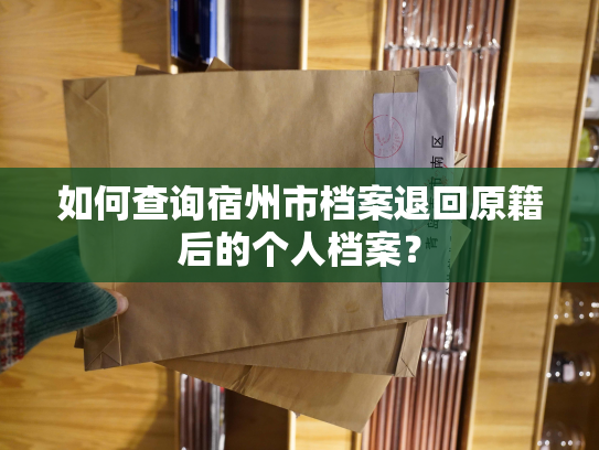 如何查询宿州市档案退回原籍后的个人档案？