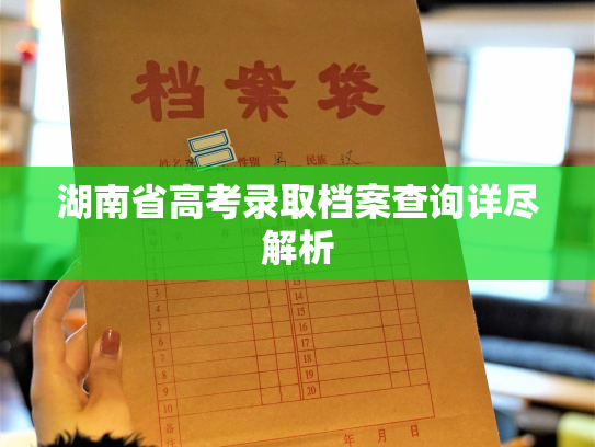湖南省高考录取档案查询详尽解析