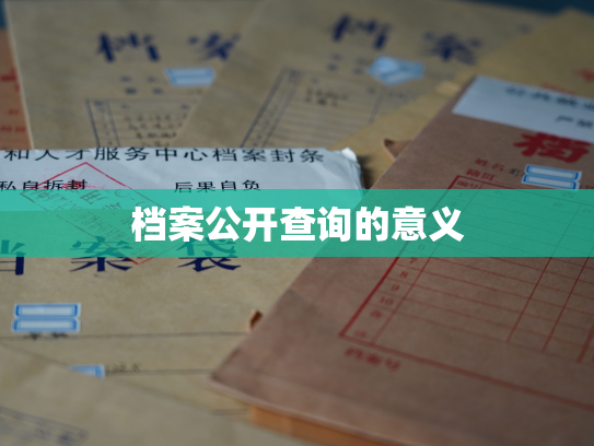 档案公开查询的意义