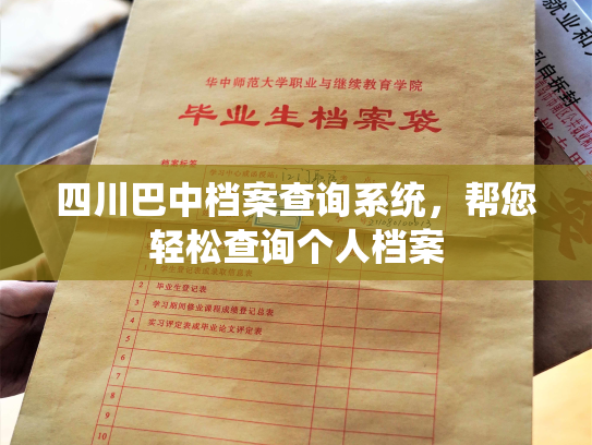四川巴中档案查询系统，帮您轻松查询个人档案