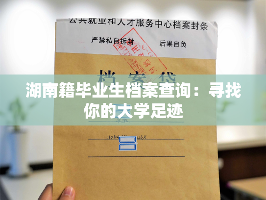 湖南籍毕业生档案查询：寻找你的大学足迹