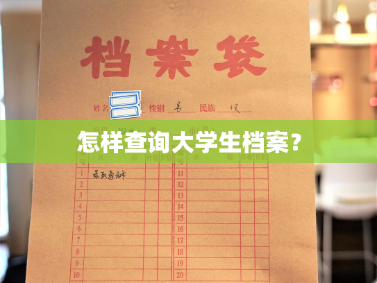 怎样查询大学生档案？