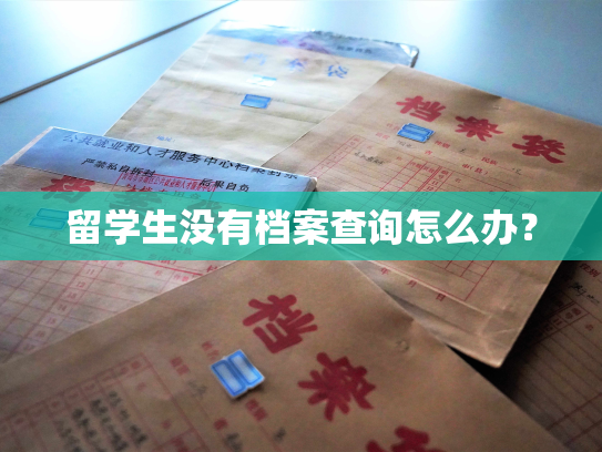 留学生没有档案查询怎么办？