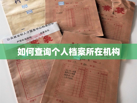 如何查询个人档案所在机构