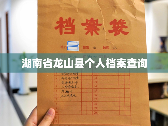 湖南省龙山县个人档案查询