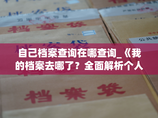 自己档案查询在哪查询_《我的档案去哪了？全面解析个人档案安全保管和查询方法》