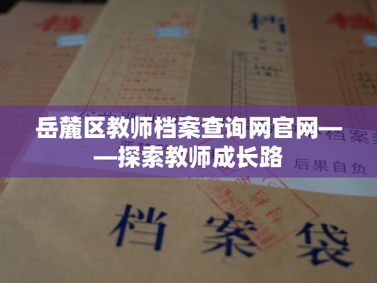 岳麓区教师档案查询网官网——探索教师成长路