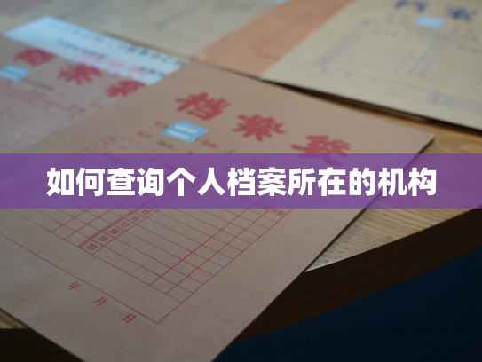 如何查询个人档案所在的机构