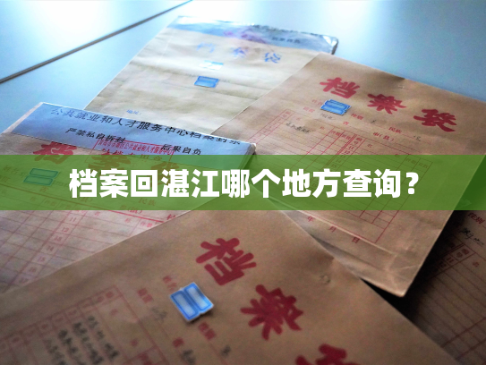 档案回湛江哪个地方查询？