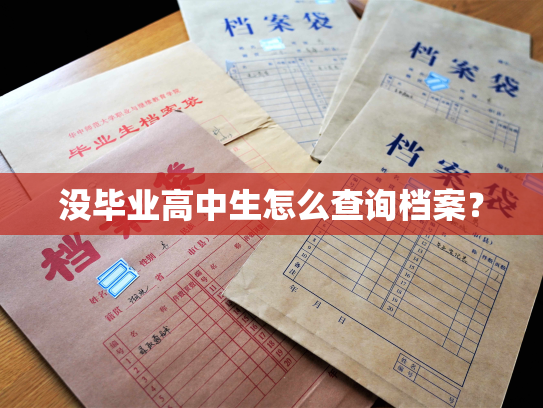 没毕业高中生怎么查询档案？