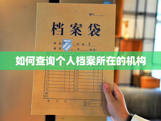 如何查询个人档案所在的机构