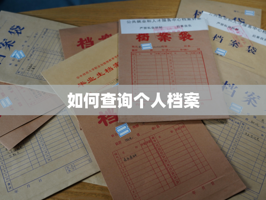 如何查询个人档案