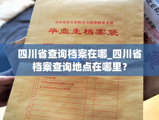 四川省查询档案在哪_四川省档案查询地点在哪里？