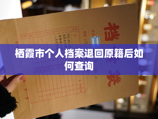栖霞市个人档案退回原籍后如何查询