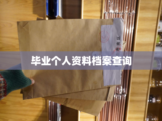 毕业个人资料档案查询