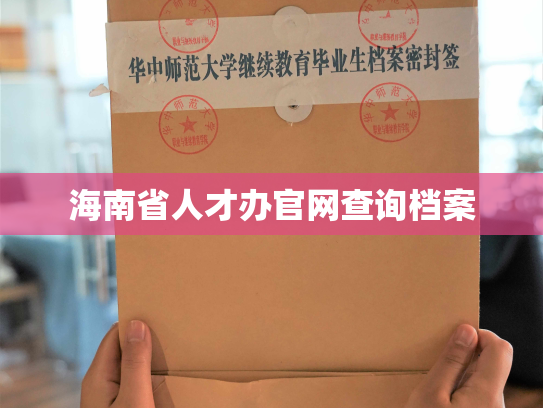 海南省人才办官网查询档案