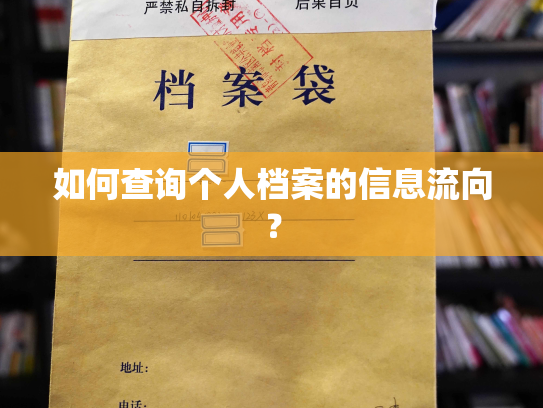 如何查询个人档案的信息流向？