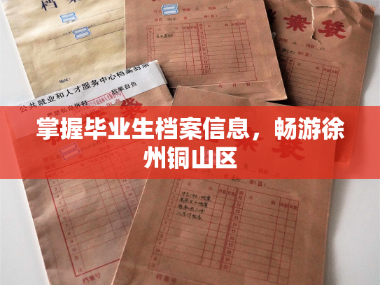 掌握毕业生档案信息，畅游徐州铜山区