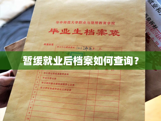 暂缓就业后档案如何查询？