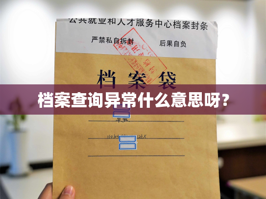 档案查询异常什么意思呀？