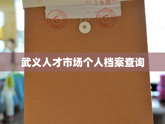 武义人才市场个人档案查询