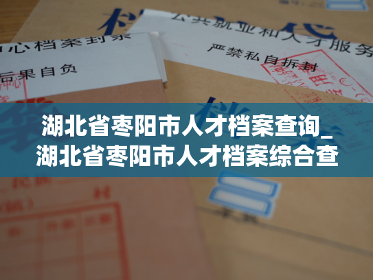 湖北省枣阳市人才档案查询_湖北省枣阳市人才档案综合查询平台
