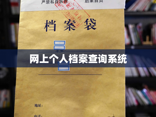 网上个人档案查询系统