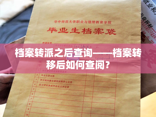 档案转派之后查询——档案转移后如何查阅？