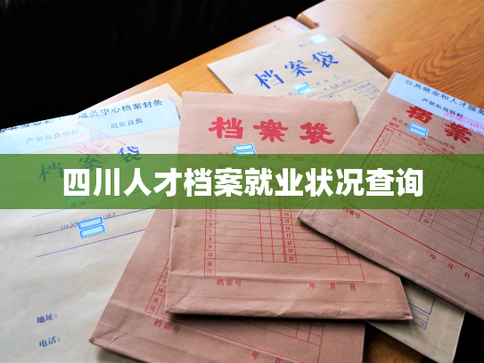 四川人才档案就业状况查询