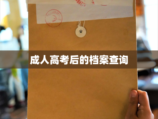 成人高考后的档案查询