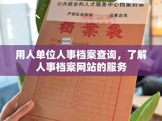 用人单位人事档案查询，了解人事档案网站的服务
