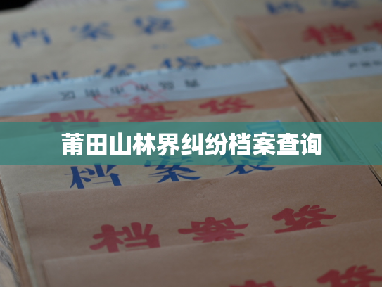 莆田山林界纠纷档案查询