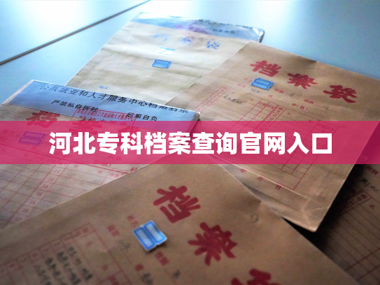 河北专科档案查询官网入口