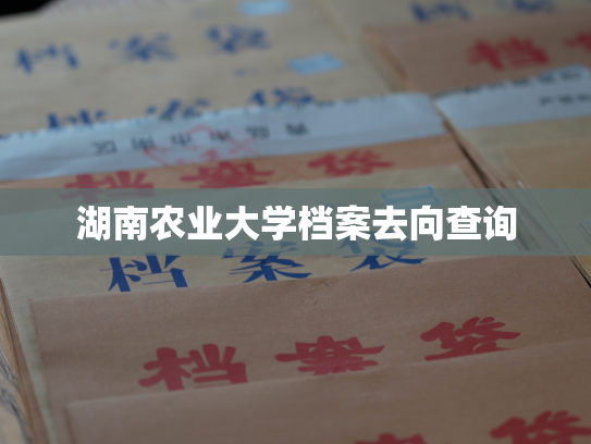 湖南农业大学档案去向查询