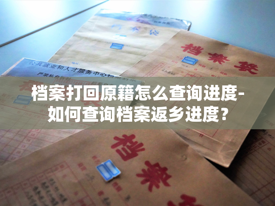档案打回原籍怎么查询进度-如何查询档案返乡进度？