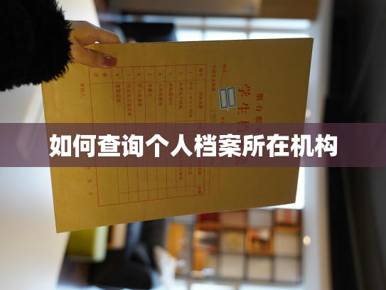 如何查询个人档案所在机构