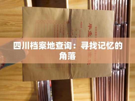 四川档案地查询：寻找记忆的角落